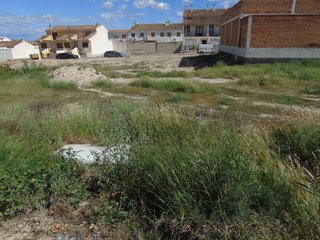 Terreno en venta en Ceutí