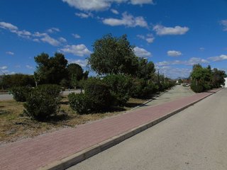 Terreno en venta en Ceutí