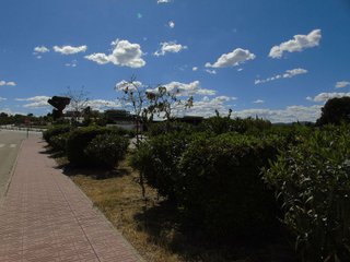 Terreno en venta en Ceutí