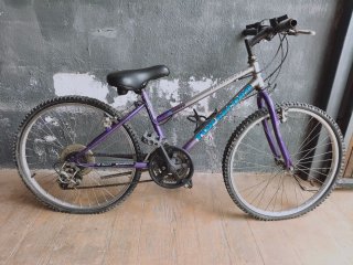 Bicicleta de Montaña TOP RECORD Morada