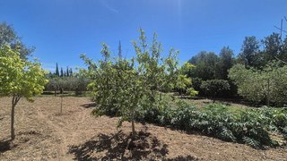 Chalet en alquiler en Manacor Centro en Manacor