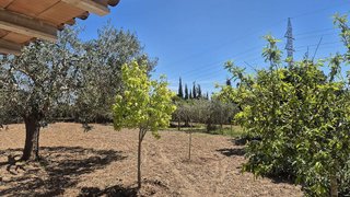 Chalet en alquiler en Manacor Centro en Manacor