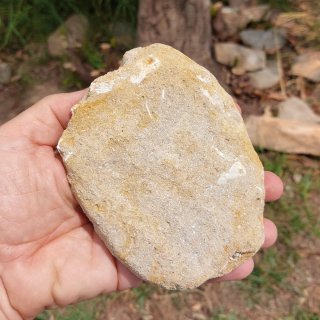 Placa Fósil en Matriz Arenosa 13,6cm