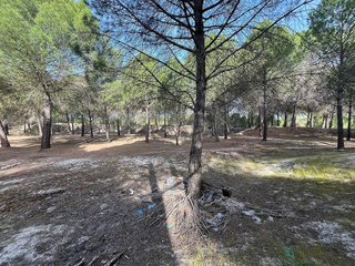 Terreno en venta en Tudela de Duero