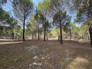 Terreno en venta en Tudela de Duero