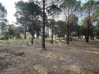 Terreno en venta en Tudela de Duero