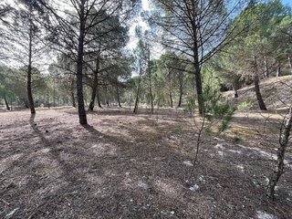 Terreno en venta en Tudela de Duero