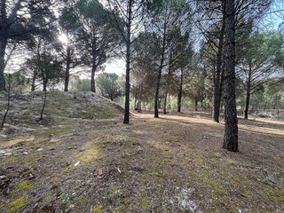Terreno en venta en Tudela de Duero