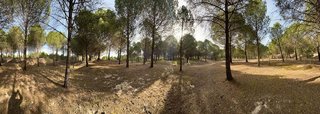 Terreno en venta en Tudela de Duero
