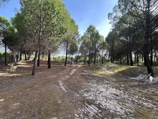 Terreno en venta en Tudela de Duero