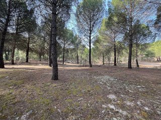 Terreno en venta en Tudela de Duero