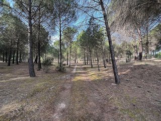 Terreno en venta en Tudela de Duero