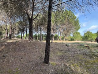 Terreno en venta en Tudela de Duero
