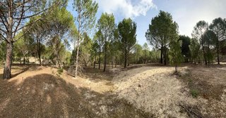 Terreno en venta en Tudela de Duero