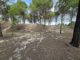 Terreno en venta en Tudela de Duero