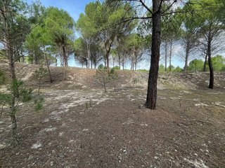 Terreno en venta en Tudela de Duero