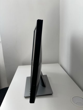 Monitor Dell SE2417HG Negro