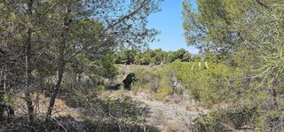 Terreno en venta en Nucia (la)