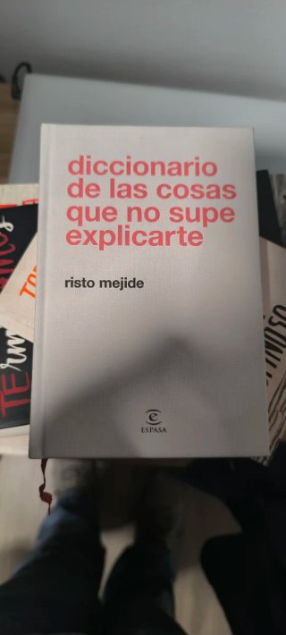 Diccionario de las cosas que no supe explicarte