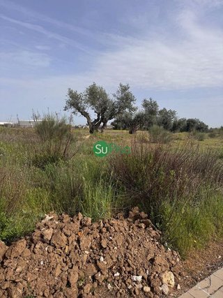 Solar en venta en Yeles