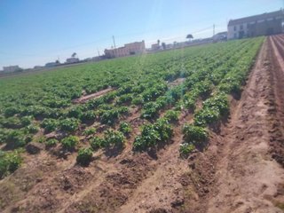 Terreno en venta en Almàssera