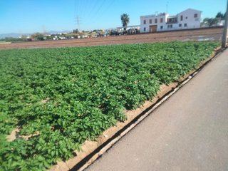 Terreno en venta en Almàssera