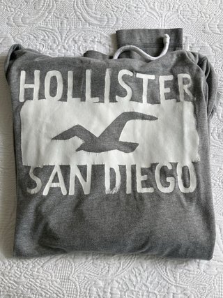 Sudadera Hollister Gris con Capucha