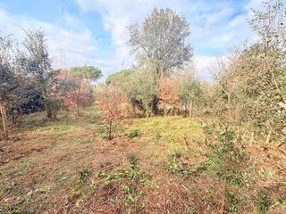 Terreno en venta en Caldes de Malavella