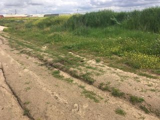Terreno en venta en Torrejón de la Calzada