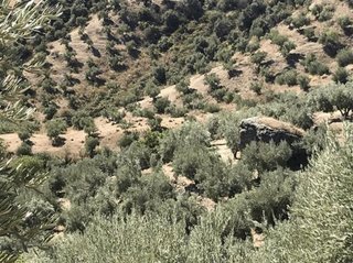 Terreno en venta en Úbeda