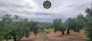 Terreno en venta en Torredonjimeno