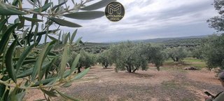Terreno en venta en Torredonjimeno