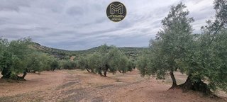 Terreno en venta en Torredonjimeno