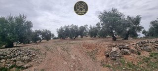 Terreno en venta en Torredonjimeno