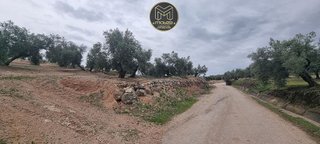 Terreno en venta en Torredonjimeno