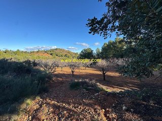 Terreno en venta en Centro en Chiva