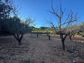 Terreno en venta en Centro en Chiva