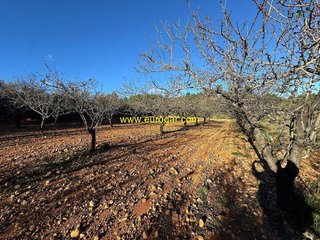 Terreno en venta en Centro en Chiva
