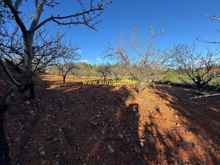 Terreno en venta en Centro en Chiva