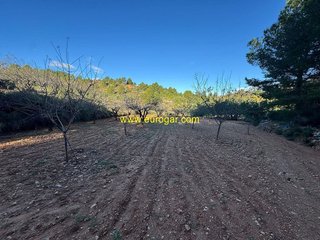 Terreno en venta en Centro en Chiva