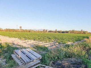 Terreno en venta en La Foia - Daimés - Asprella en Elche