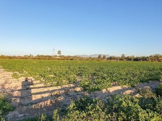 Terreno en venta en La Foia - Daimés - Asprella en Elche