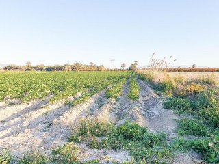 Terreno en venta en La Foia - Daimés - Asprella en Elche