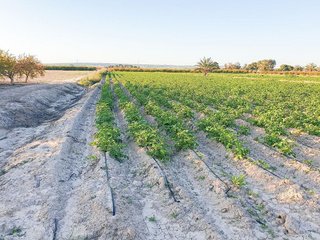 Terreno en venta en La Foia - Daimés - Asprella en Elche