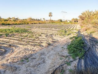Terreno en venta en La Foia - Daimés - Asprella en Elche