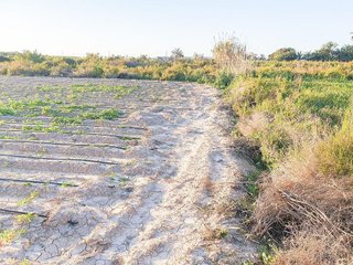 Terreno en venta en La Foia - Daimés - Asprella en Elche