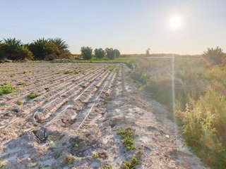 Terreno en venta en La Foia - Daimés - Asprella en Elche