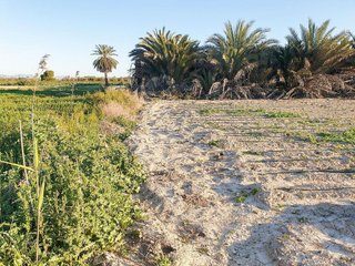 Terreno en venta en La Foia - Daimés - Asprella en Elche