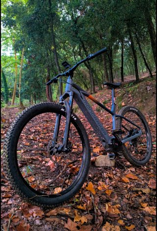 Mondraker Prime
