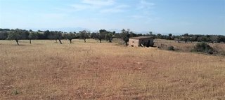Terreno en venta en Manacor Centro en Manacor